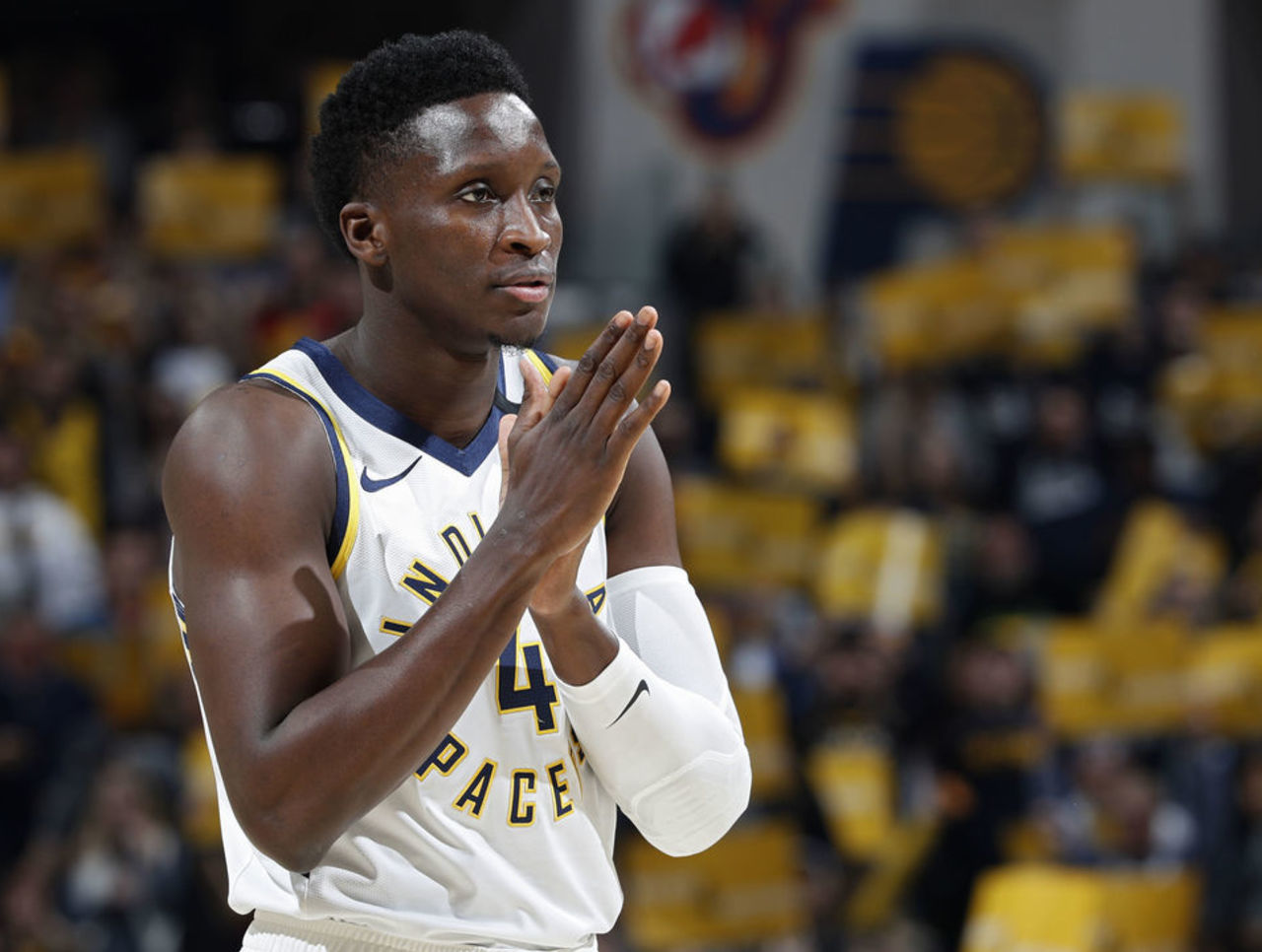 违的荣耀 违的荣耀