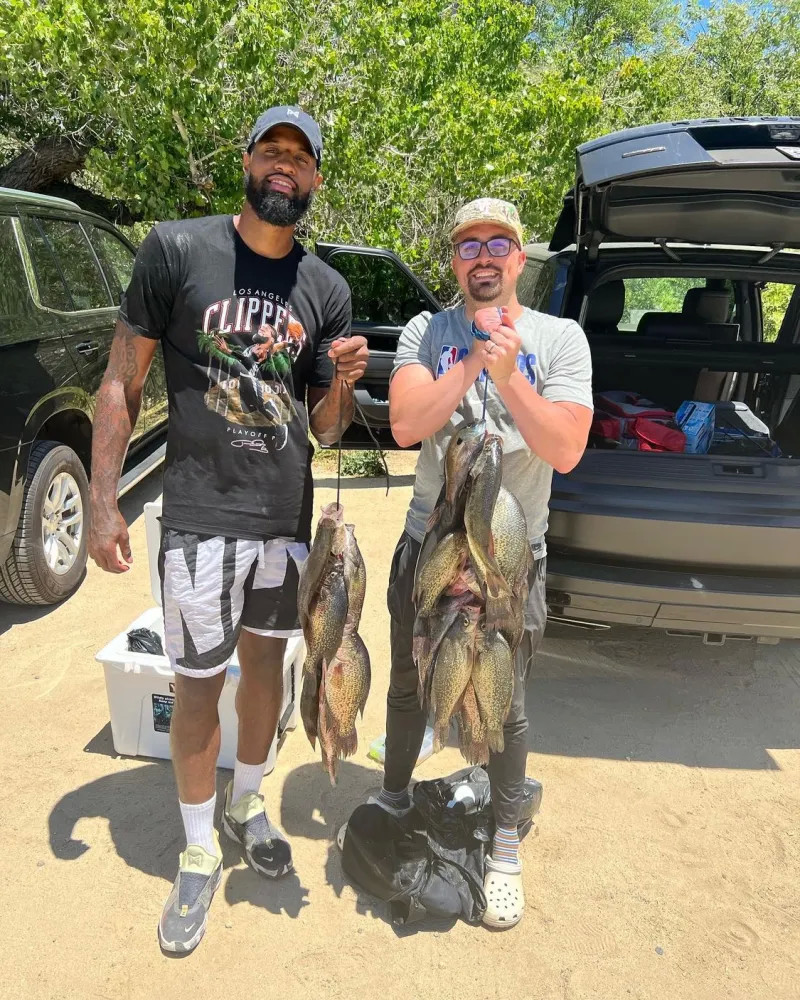 配质量与上 配质量与上