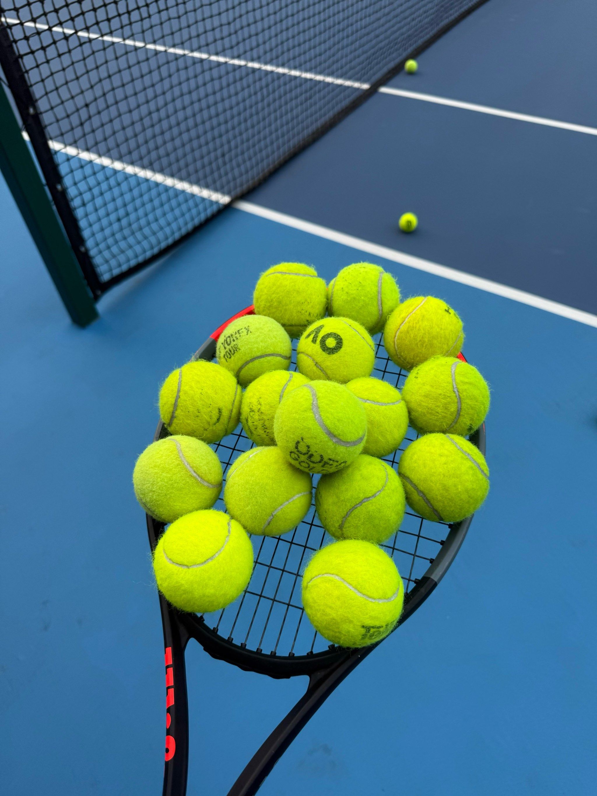 申京肘区持 申京肘区持